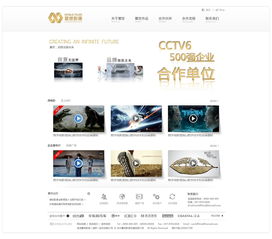 武漢金百瑞科技 專業打造寰世影像企業網站的典范