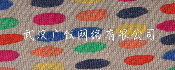 武漢廣致網(wǎng)絡(luò) 專業(yè)賦能，打造卓越的企業(yè)網(wǎng)站建設(shè)解決方案